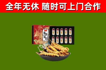 杭锦回收冬虫夏草价格